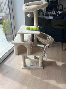 cat tree