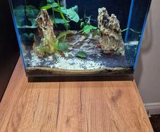 Aquarium Fish tank
