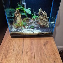 Aquarium Fish tank