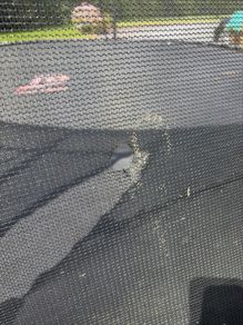 13ft Trampoline