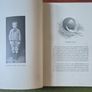 Sandow on Physical Training. 1894. Eugen Sandow, edited by G. Mercer Adam. A. Casarin (Artist). Rare antique. Image 6