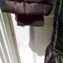 Woman's Coat Image 5