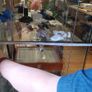 Glass Display Cabnet Image 8