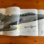 Aircraft book:'The World's Great Interceptor Aircraft' Image 5