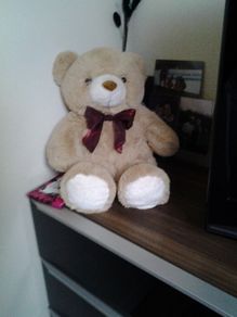 Teddy Bear for Sale