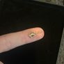 14k solid yellow gold and pearl spider charm from the jewelry brand CATBIRD NYC Image 9