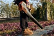 Yardforce Leaf Blower