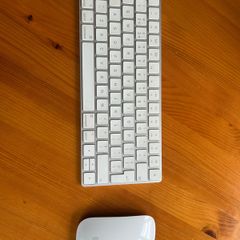 apple mouse and keyboard