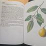 Natural Beauty Care With Flowers And Plants. B. Hlava, Z. Krejcova. Hardback In Good Condition.  See Photos For Same. Image 8