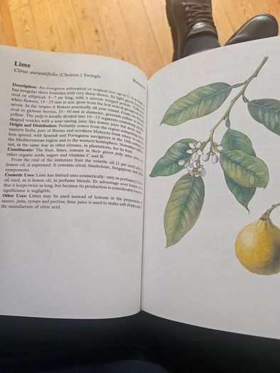 Natural Beauty Care With Flowers And Plants. B. Hlava, Z. Krejcova. Hardback In Good Condition.  See Photos For Same.