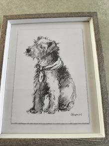 FRAMED  Terrier Dog Line Sketch Art Print.