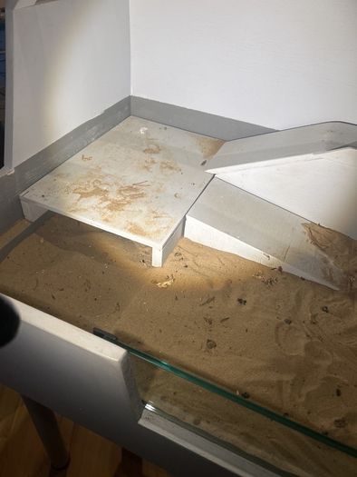 Home made tortoise enclosure