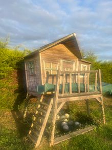 Tree House