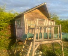 Tree House