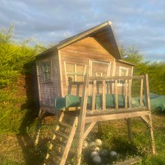 Tree House