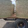 Hay Image 4