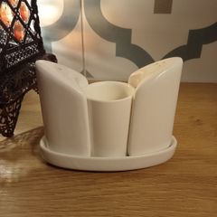 Fine Porcelain Salt & Pepper Shaker With Toothpick Holder (12.5cm x 5.5cm x 9.5cm)
