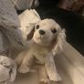 Microwavable teddies Image 5
