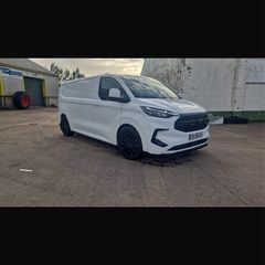 Ford custom