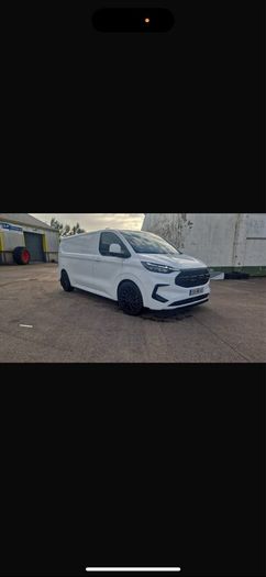 Ford custom