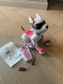 Zoey the Robot dog