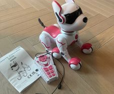 Zoey the Robot dog
