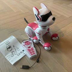 Zoey the Robot dog