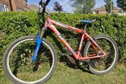 FREE Torpado Storm Mountain Bike (Adult)