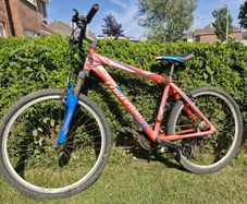 FREE Torpado Storm Mountain Bike (Adult)