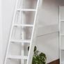 Loft bed Ladder Image 2