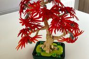 Lego Japanese Maple Bonsai