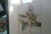 Floral Print Picture