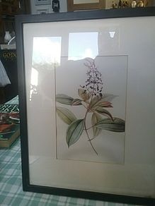 Floral Print Picture