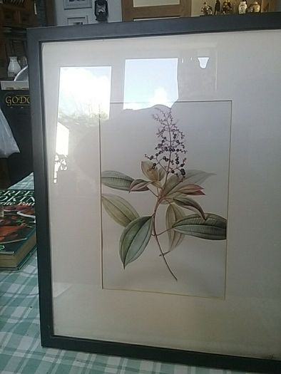 Floral Print Picture