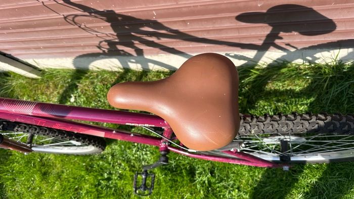 Apollo Twilight Bike - Ladies
