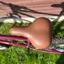 Apollo Twilight Bike - Ladies Image 7