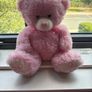 teddy Image 2