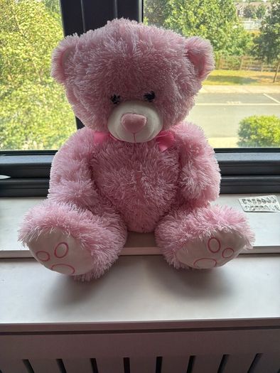 teddy