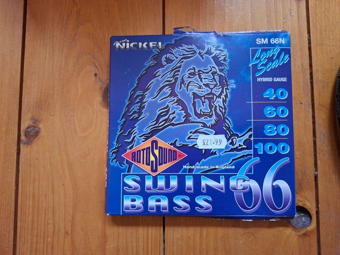 Bass Guitar