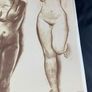 Vintage Marino Marini Lithograph Image 5