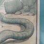 Antique Nationalist Irish Newspaper Cartoon 1891 Image 4