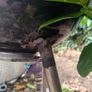 Bbq Image 5
