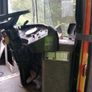 Vintage all aluminium motorhome Image 4