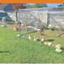 security fence panels Image 3