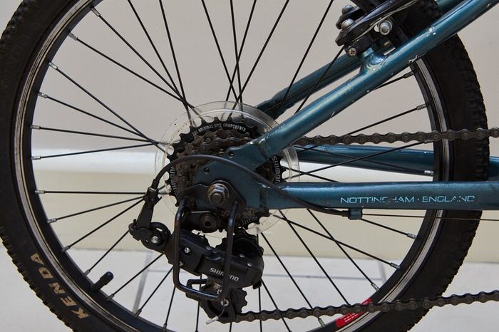 Raleigh Zero 20-Inch Children Bike