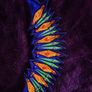 Irish Dancing Dress Image 4