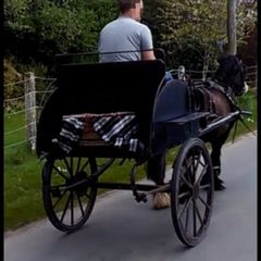 Horse Cart