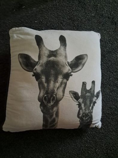 Giraffe Painting & Cushion