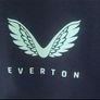 everton Image 4