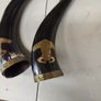 Buffalo horns Image 2